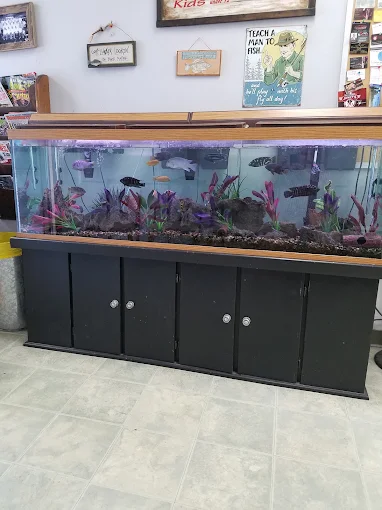 Fish Tank